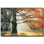 Seasons Divide Wall Art - Orange - 22 X 28