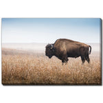 Bison Wanderer Wall Art - Brown - 30 X 45