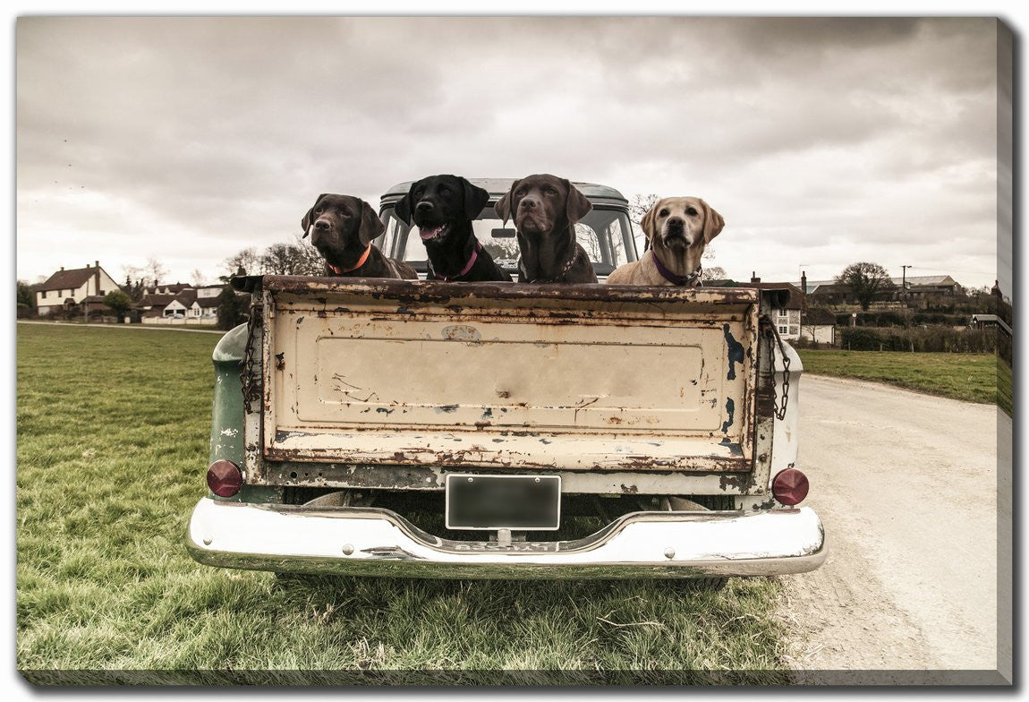 Tailgate Crew Wall Art - Brown/Green - 38 X 60