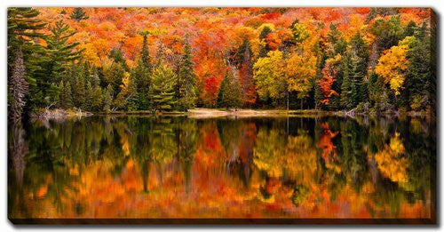 Autumn Reflections Wall Art - Orange/Green - 20 X 40