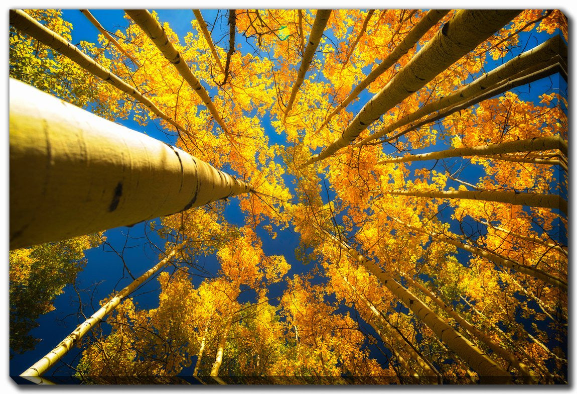 Beneath the Leaves Wall Art - Yellow - 30 X 45