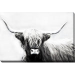 Stark Stare Wall Art - Black/White - 22 X 28