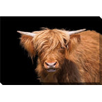 Moo in the Shadows Wall Art - Brown - 22 X 28