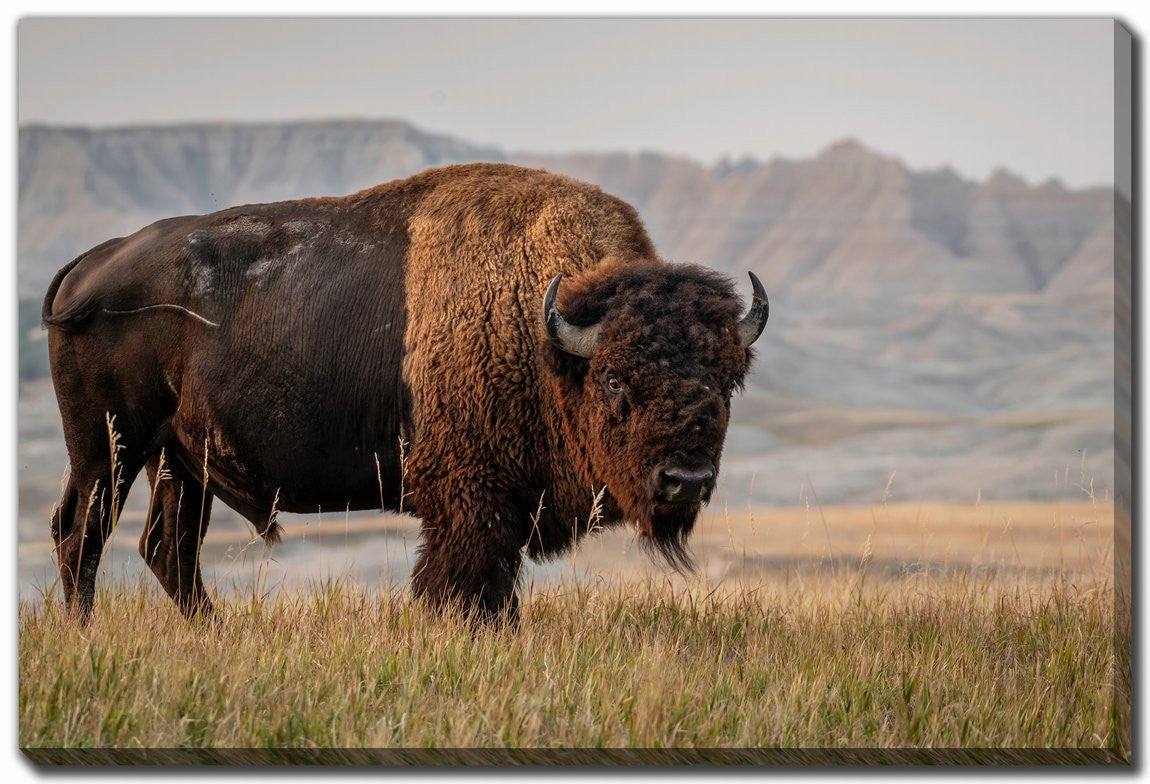 Western Strength Wall Art - Brown - 22 X 28