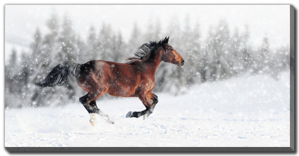 Snow Spirit Wall Art - White/Dark Brown - 20 X 40