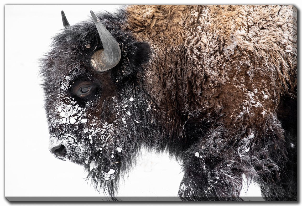 Winter Coat Wall Art - Brown - 22 X 28