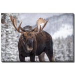 King of the Forest Wall Art - Brown/Grey - 38 X 60