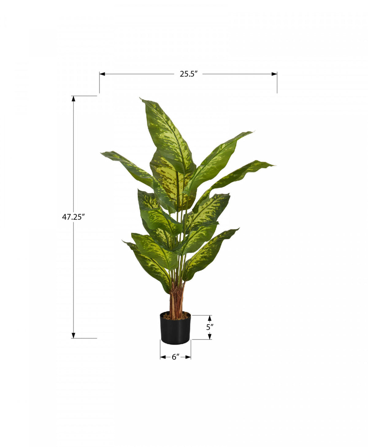 47" Evergreen Plant With 5" Black Pot - Green