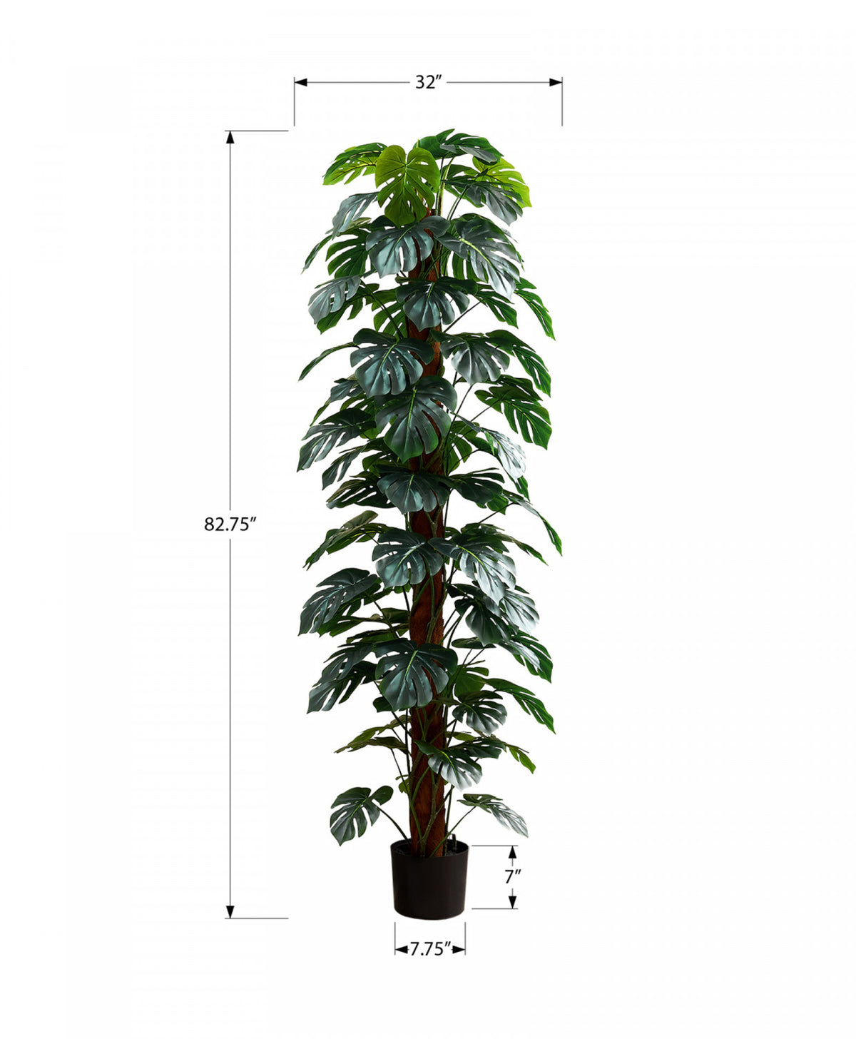 83" Monstera Plant With 8" Black Pot - Green