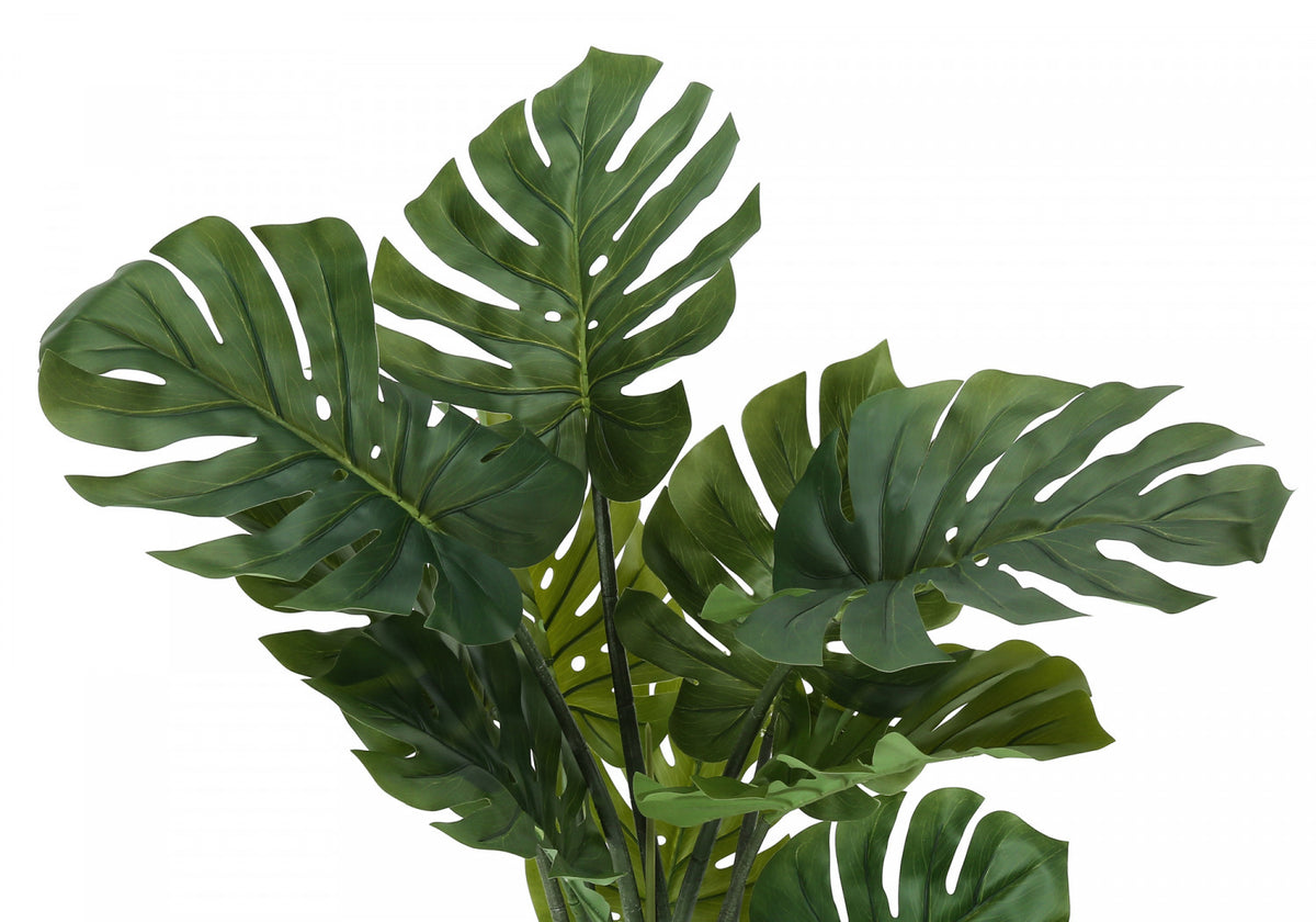 45" Monstera Plant With 6" Black Pot - Green