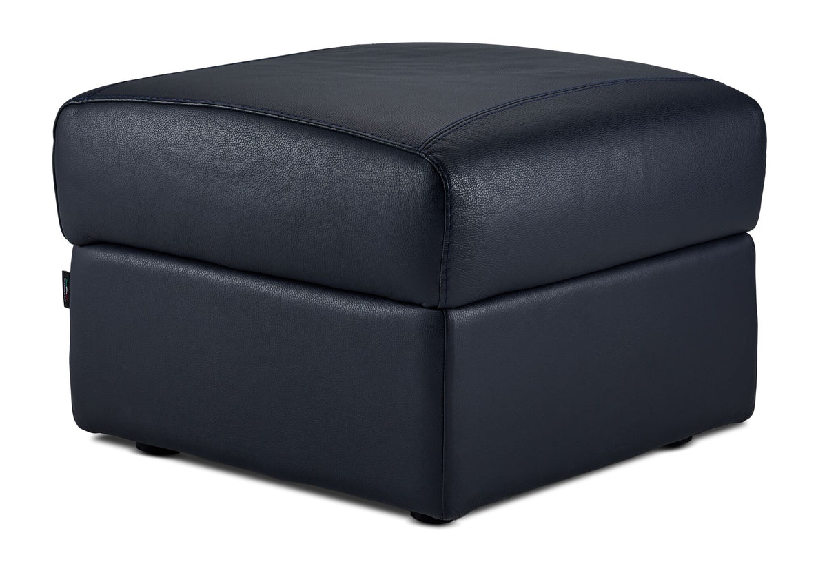 Orlando-Ray Leather Storage Ottoman - Blue