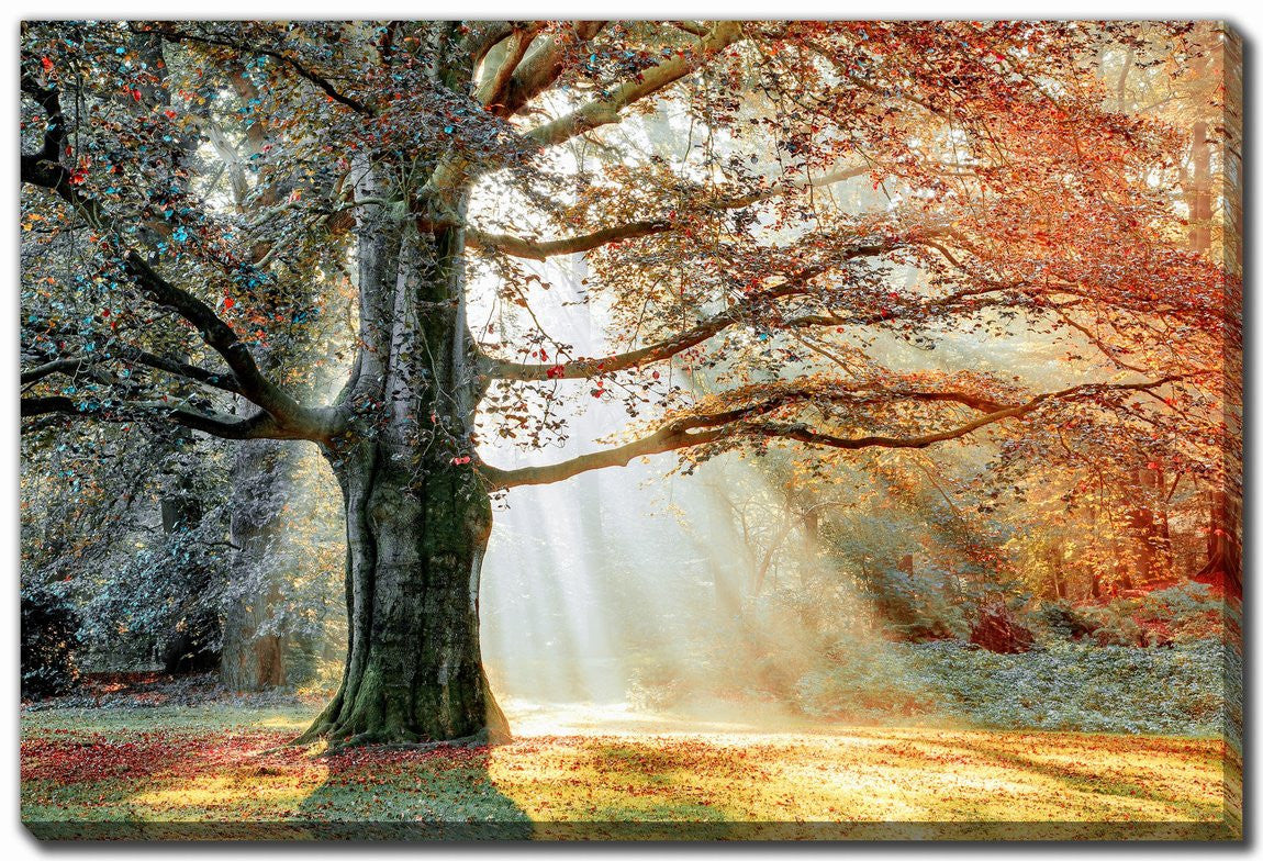 Seasons Divide Wall Art - Orange - 22 X 28