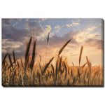 Wheatlight Wall Art - Brown - 16 X 20