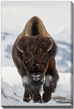 Charging Bison Wall Art - Brown - 22 X 28