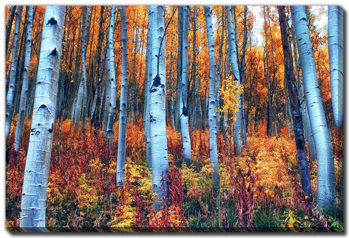 Autumn Blaze Wall Art - Orange - 22 X 28