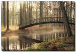 Whispers of the Woods Wall Art - Multi-Colour - 16 X 20