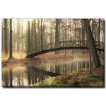 Whispers of the Woods Wall Art - Multi-Colour - 16 X 20