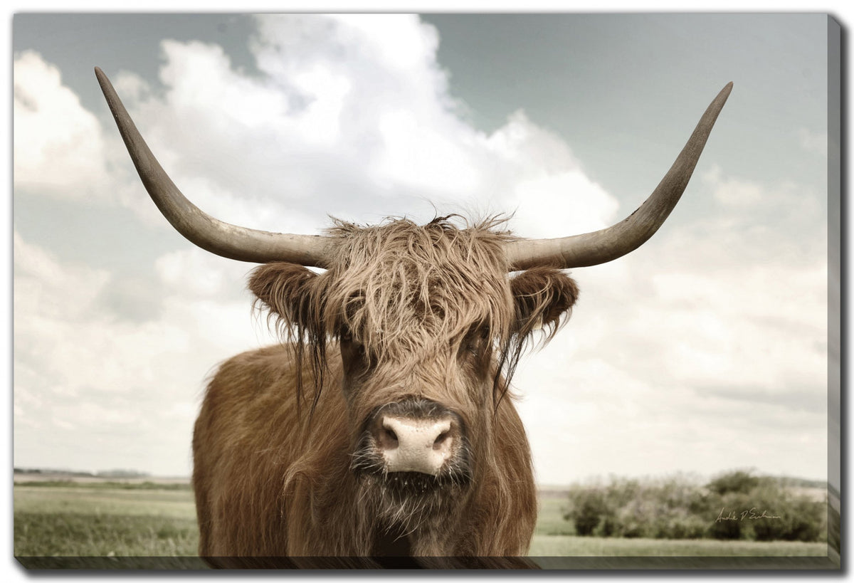 Highland Wisdom Wall Art - Brown - 38 X 60