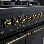 Forno Antico 48" Black Freestanding Dual Fuel Double Oven Range (5.5 Cu. Ft.) - FFSGS6113-48BLK