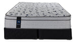 Front view of the Queen mattress and split foundations with textured sides and Sealy branding