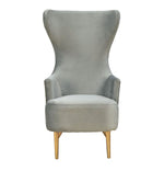 Elray Velvet Wingback Accent Chair - Grey